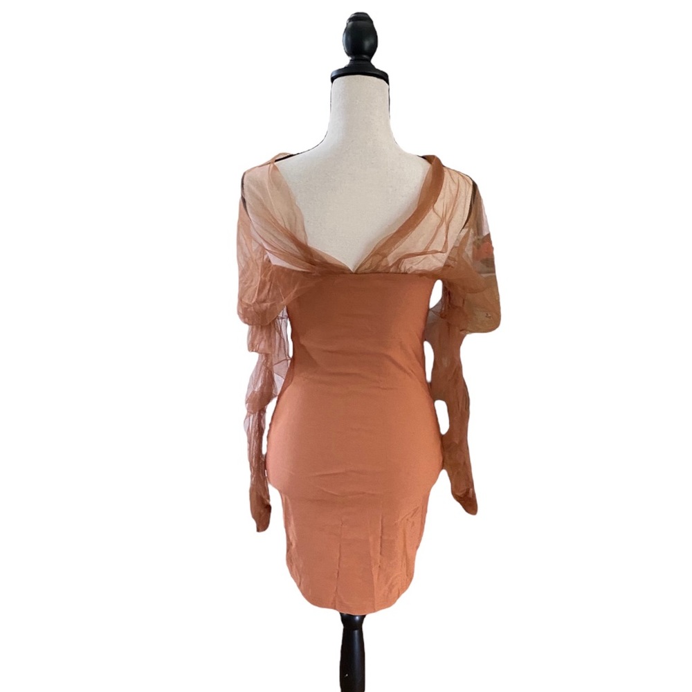 Sheer Ruched Sleeve Dress - Picture 4 of 4